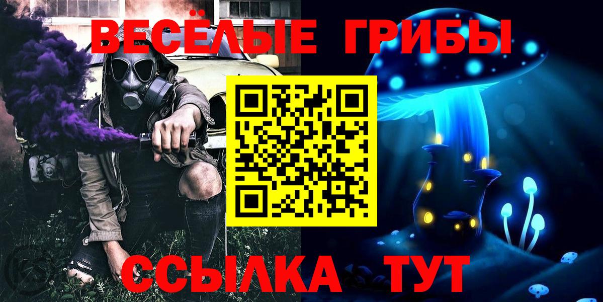 Псилоцибиновые грибы Psilocybine cubensis  Вход с VPN  Стрежевой 