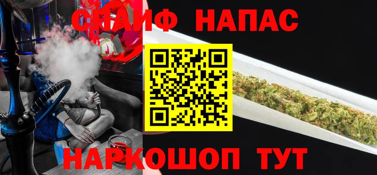 Бошки Шишки планчик Стрежевой